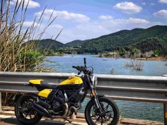 Ducati Scrambler 800 - ფოტო 2