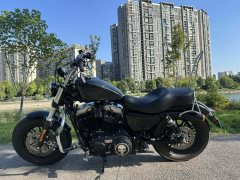 Harley-Davidson Forty-Eight 1200 cc - ფოტო 6