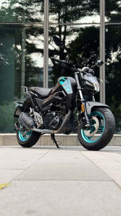 CFMOTO ST Baboon 125 cc - photo 1