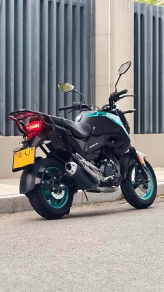CFMOTO ST Baboon 125 cc - photo 10