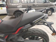 Benelli TNT 300 / BN 302S - ფოტო 4