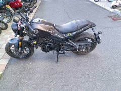 Benelli Young Lion Leoncino 250 - ფოტო 1