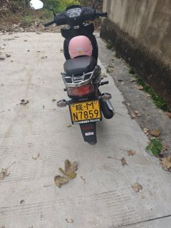 Sundiro Honda Wave110 - ფოტო 3