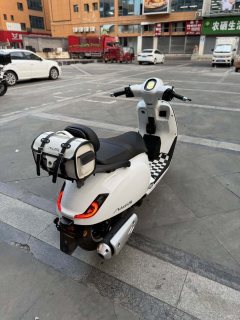 Sundiro Honda NS150LA - photo 4