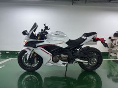QJMOTOR Sai 600 - photo 4