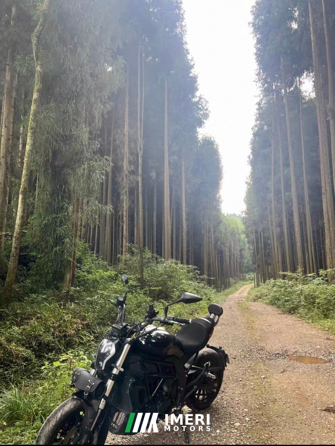 2019 Benelli 502C 500 cc