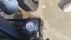 Benelli Leoncino 800 750 cc - ფოტო 5