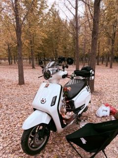 Sundiro Honda NS125LA - photo 4