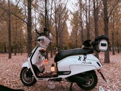 Sundiro Honda NS125LA - photo 5