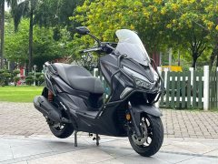 QJMOTOR Hong 250 - фото 1