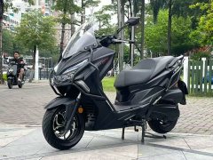 QJMOTOR Hong 250 - фото 3
