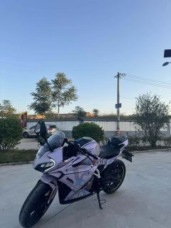 CFMOTO 250SR - ფოტო 2