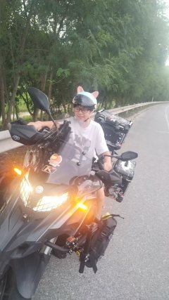 Benelli Jinpeng TRK502 500 cc - ფოტო 2