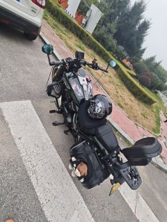 Xiangshuai YES Softail 400 cc - ფოტო 2