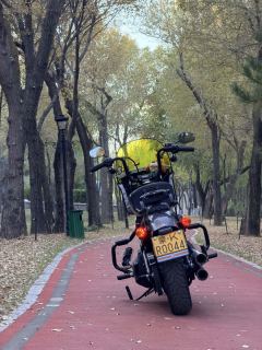 Harley-Davidson Street Bull Street Bob 1870 cc - photo 6