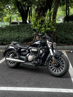 Benda Polestones 03 Gray 300 cc - photo 1