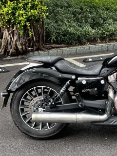 Benda Polestones 03 Gray 300 cc - photo 6