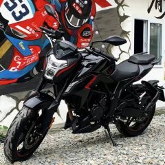 Voge 300R - photo 2