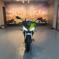 QJMOTOR SRK 250 - фото 2