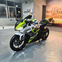 QJMOTOR SRK 250 - фото 3