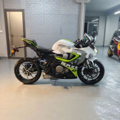 QJMOTOR SRK 250 - фото 4