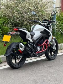 Benelli Little Xunlong BN150S - фото 3