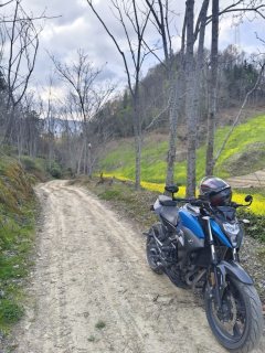 CFMOTO 400NK - ფოტო 5