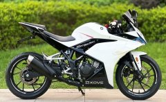 Kayo 250RR Thornbird - ფოტო 1