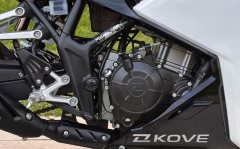 Kayo 250RR Thornbird - ფოტო 8