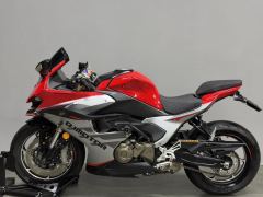 QJMOTOR SRK 550 - фото 5