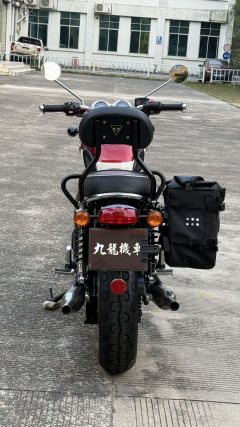 Triumph Bonneville T100 900 cc - ფოტო 8