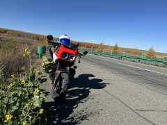 CFMOTO Papio XO-1 125 cc - ფოტო 4