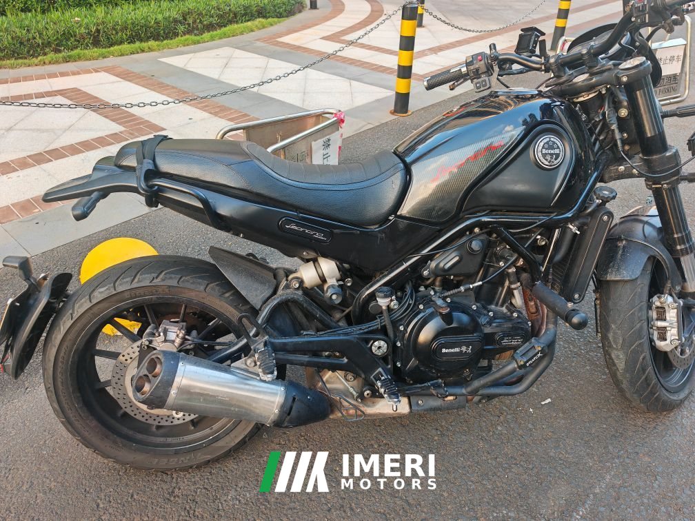 2019 Benelli Lion Cub Leoncino 500