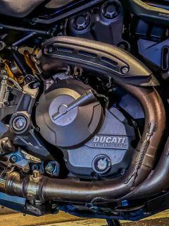 Ducati Monster 821 - фото 7