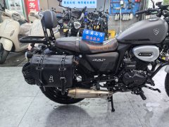 Cyclone RA2 250 cc - ფოტო 2