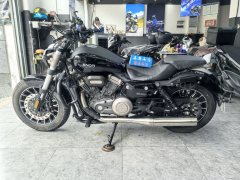 Benda Polestones 03 Gray 300 cc - photo 5