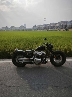 Thunder Beast 250 - ფოტო 5