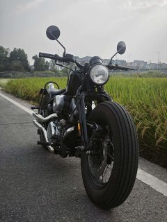 Thunder Beast 250 - ფოტო 7