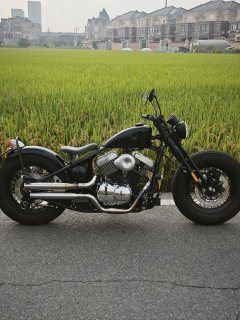 Thunder Beast 250 - ფოტო 9