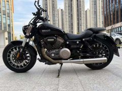 Benda Polestones 03 Gray 300 cc - ფოტო 1