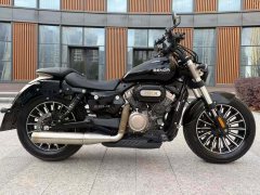 Benda Polestones 03 Gray 300 cc - ფოტო 3