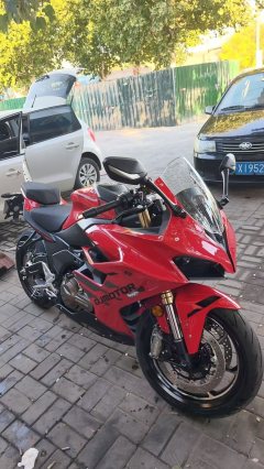 QJMOTOR Sai 550 - ფოტო 2