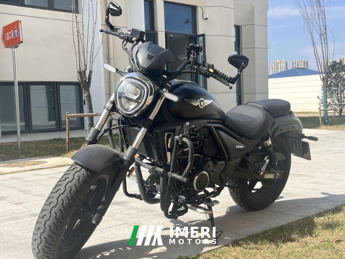 2022 Haojue TR300