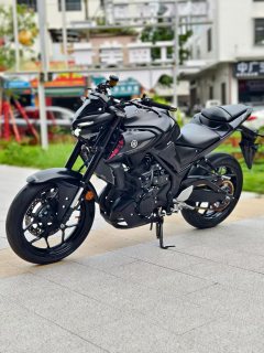 Yamaha MT-03 320 cc - ფოტო 2