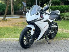 Kayo 250RR Thornbird - photo 3
