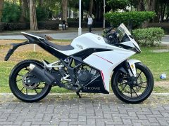 Kayo 250RR Thornbird - photo 4