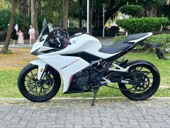Kayo 250RR Thornbird - photo 6