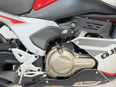 QJMOTOR Sai 550 - photo 8