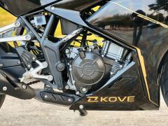 Kayo 250RR Thornbird - ფოტო 8