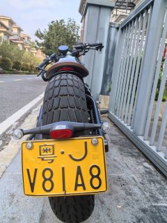 Benda Napoleon 250 - photo 5